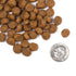 Fromm Classic Puppy Dry Dog Food - Chicken - 5lb Bag